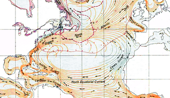 Sargassosee - nicht Saragossasee