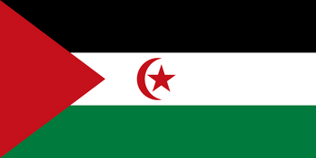 Flagge Demokratische Arabische Republik Sahara