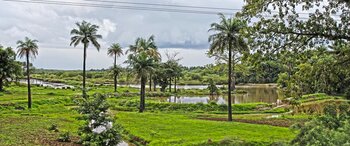 Flache Landschaft am Fluss in Gambia Landschaft in Gambia