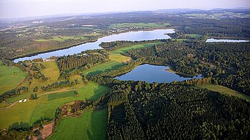 Dreifelder Weiher