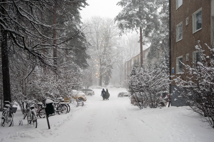 Zwei Kinder mit Weihnachtsbaum in Helsinki