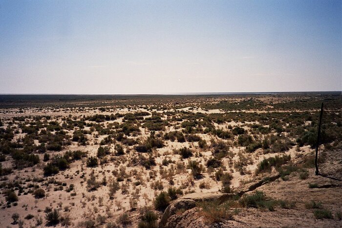 Aralsee-Bett