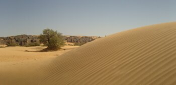 Wüste in Algerien