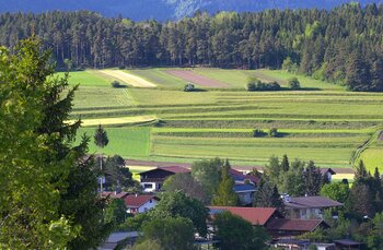 Landwirtschaft in Österreich