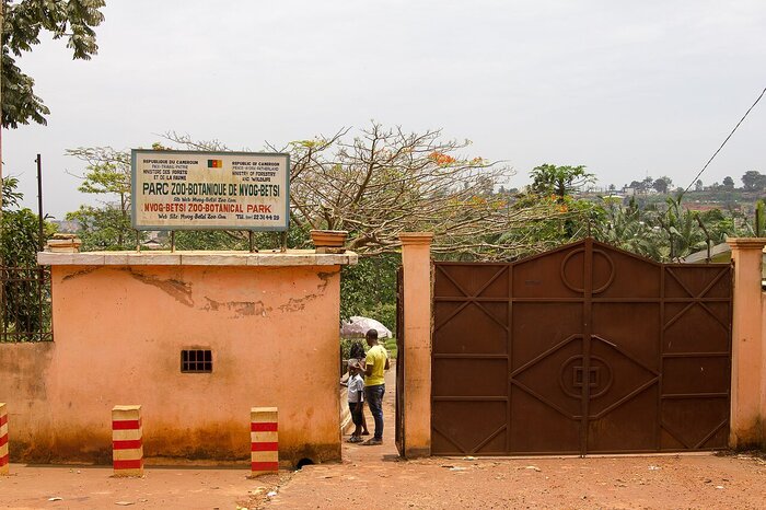 Zoo in Yaounde Zoo in Jaunde