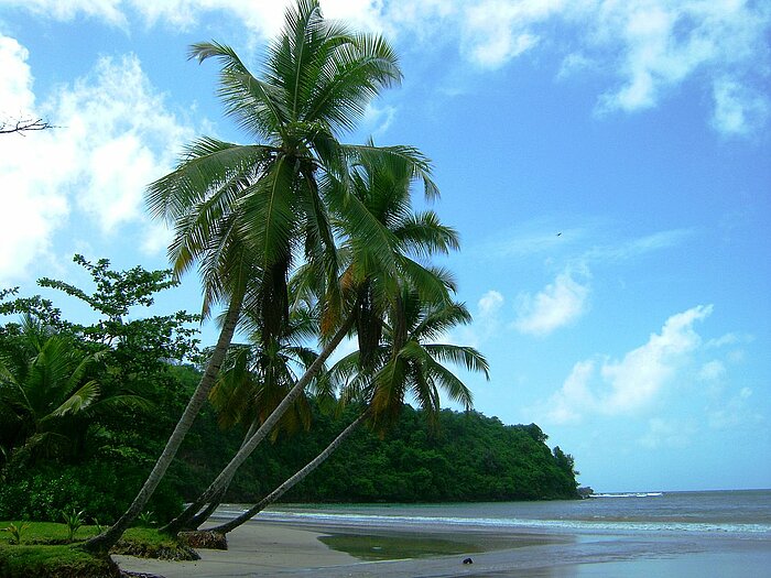 Strand La Segesse in Grenada