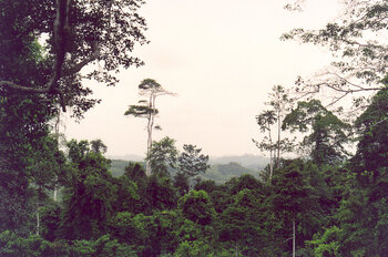 Ghana Natur