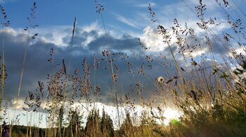 Klimawandel in Norwegen: immer öfter Hitze