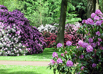 Rhododendronpark Bremen