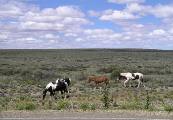 Argentinien Land und Landschaft