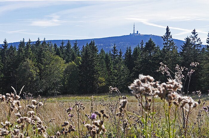 Sachsen-Anhalt Brocken