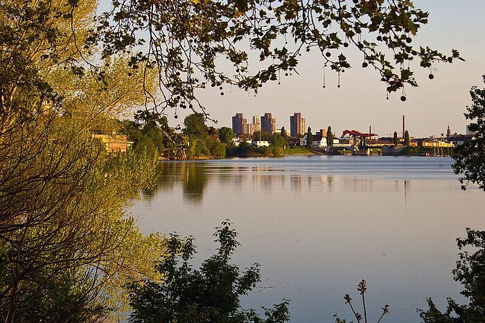 Panoramablick auf Mannheim