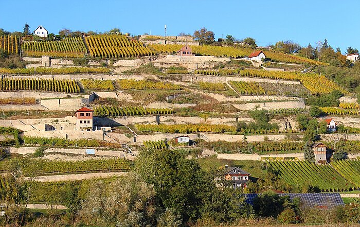 Sachsen Anhalt Landschaften