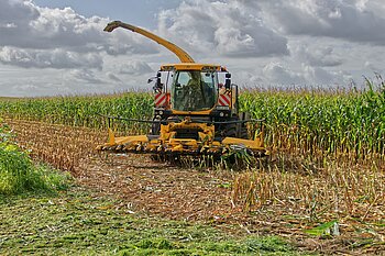 Landwirtschaft in Sachsen