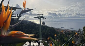 Madeira Typisch