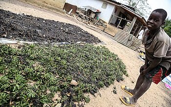 Kinderarbeit in Liberia