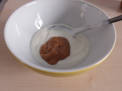 Dulce de Leche in Joghurt