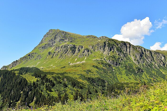 Österreichische Alpen im Sommer