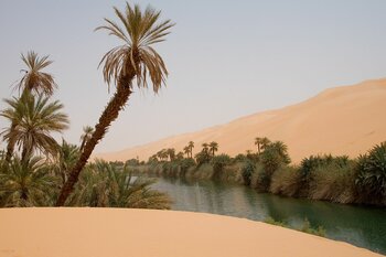 Oase in der Ubari-Wüste in Libyen