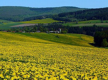 Naturpark Hessischer Spessart