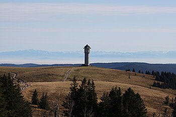 Blick auf den Feldberg