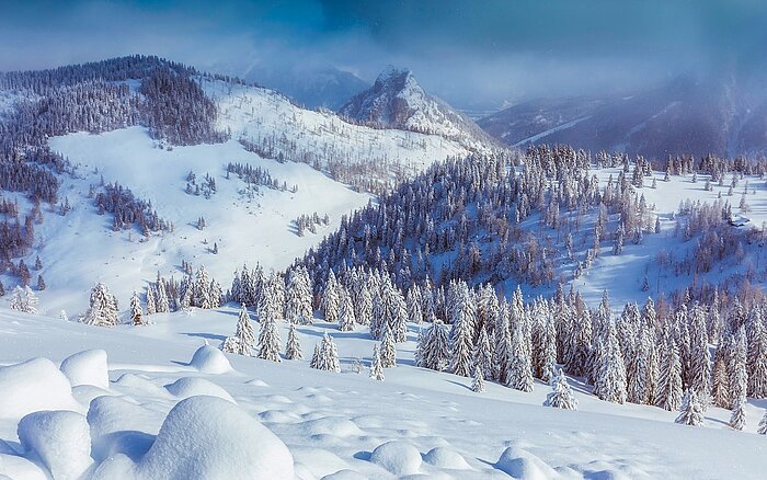 Alpen in Österreich