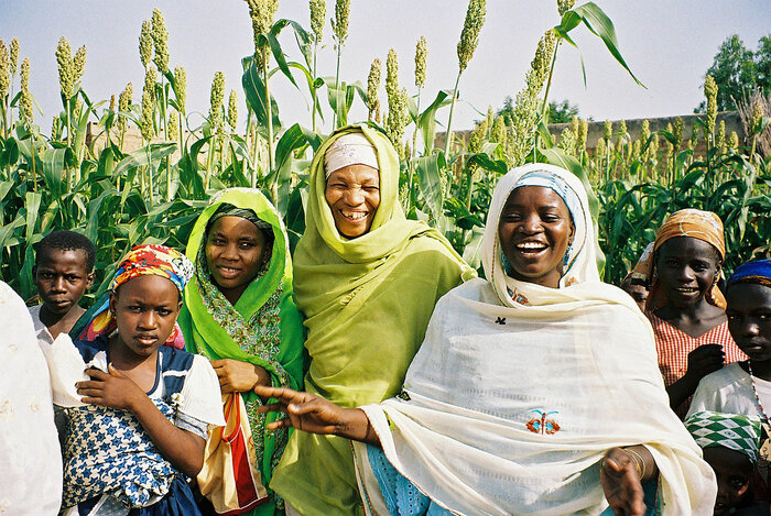 Nigerianische Frauen vor einem Feld