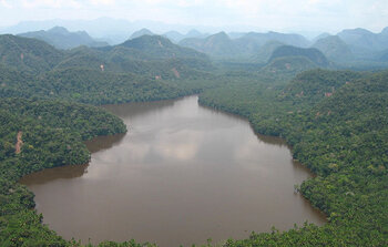 Amazonas-Tiefland in Peru