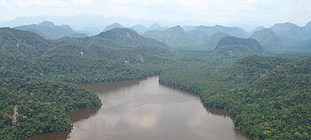 Regenwald in Peru