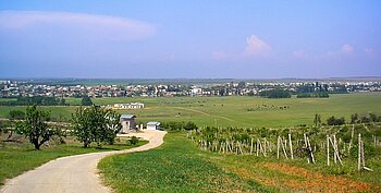 Landschaft in Belarus