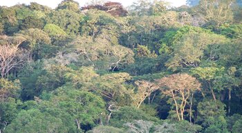 Gabun Natur