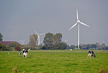 Landwirtschaft Niedersachsen