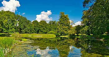 Glienicker Park mit Bäumen in Berlin