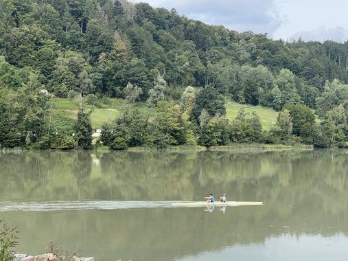 Rudern auf der Donau