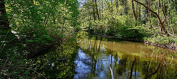 Flüsse Schleswig-Holstein