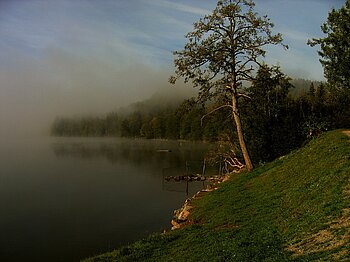 Der Titisee im Schwarzwald