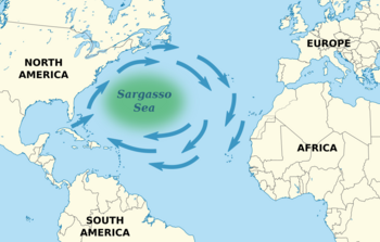 Sargassosee Karte