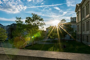 Universität Halle (Saale)