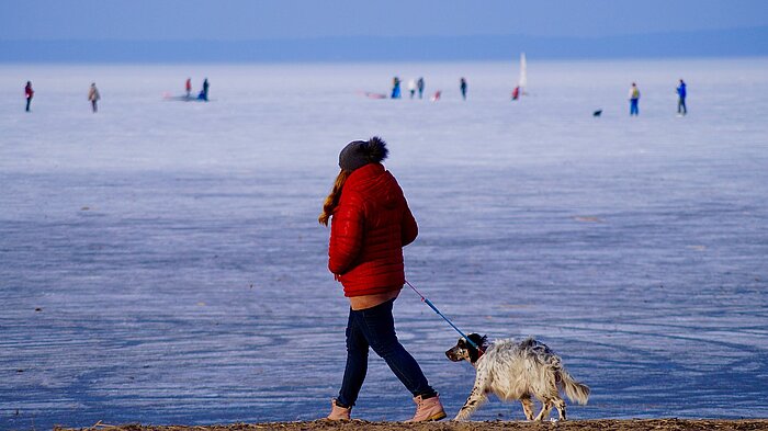 Spaziergang am Frischen Haff