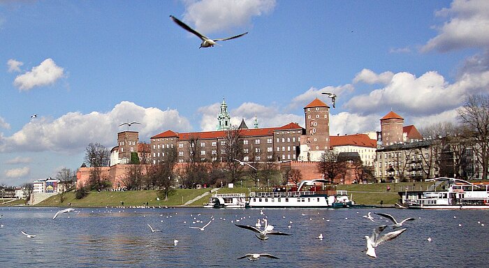 Burg Wawel