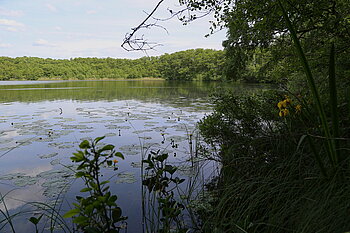 Erdfallsee in Nordrhein Westfalen