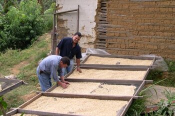 Honduras Landwirtschaft