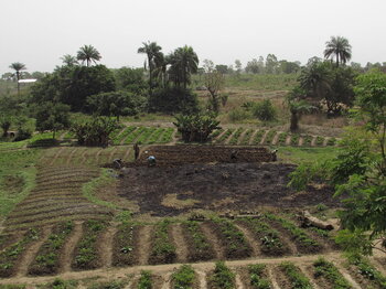 Landwirtschaft in Benin
