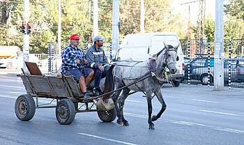 Roma in Bulgarien