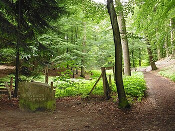 Bergedorfer Gehölz