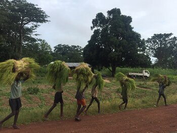 Kinderarbeit in Afrika