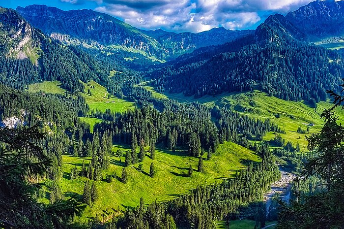 Sommer in Österreich