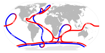 Thermohaline Zirkulation