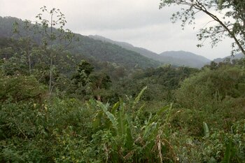 Northern Range, Berge in Trinidad