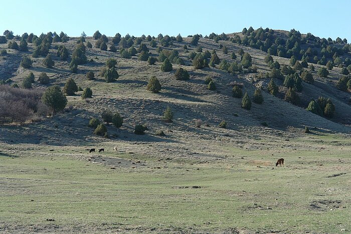 Landschaft im Süden von Turkmenistan